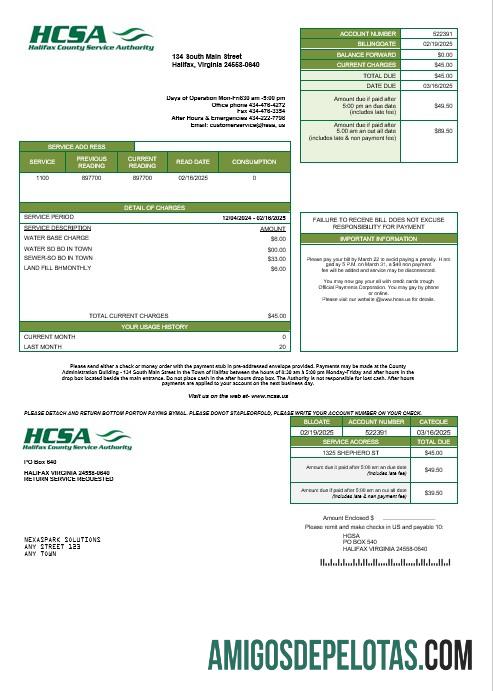 imprimível Modelo de conta de serviços públicos de negócios USA Virginia HCSA em formatos Word e PDF